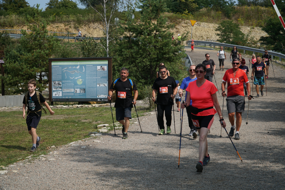 Grupa ludzi zbliżający się do mety rajdu nordic walking