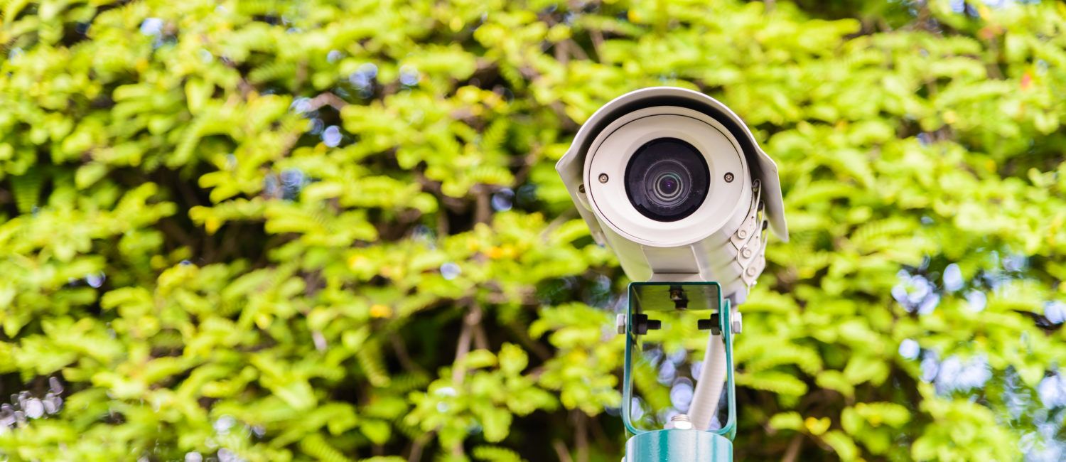 Kamera monitoringu na tle drzewa