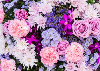 Kwiaty w kolorach różowo-fioletowych