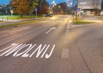 Jezdnia, a na niej namalowany napis przed przejściem dla pieszych o treści zwolnij