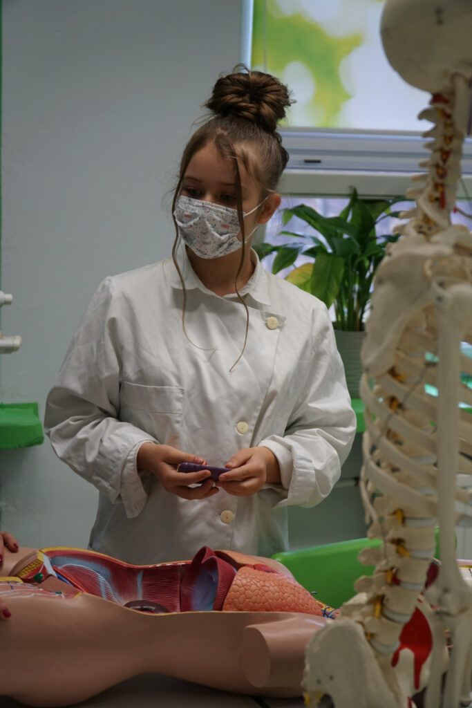 Dziewczynka trzymająca model anatomiczny człowieka. W tle model szkieletu ludzkiego