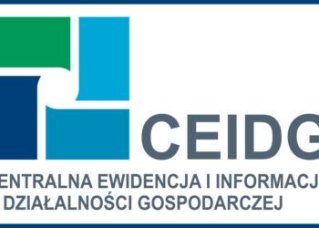 Prostokątne Logo Centralnej Ewidencji i Informacji o Działalności Gospodarczej