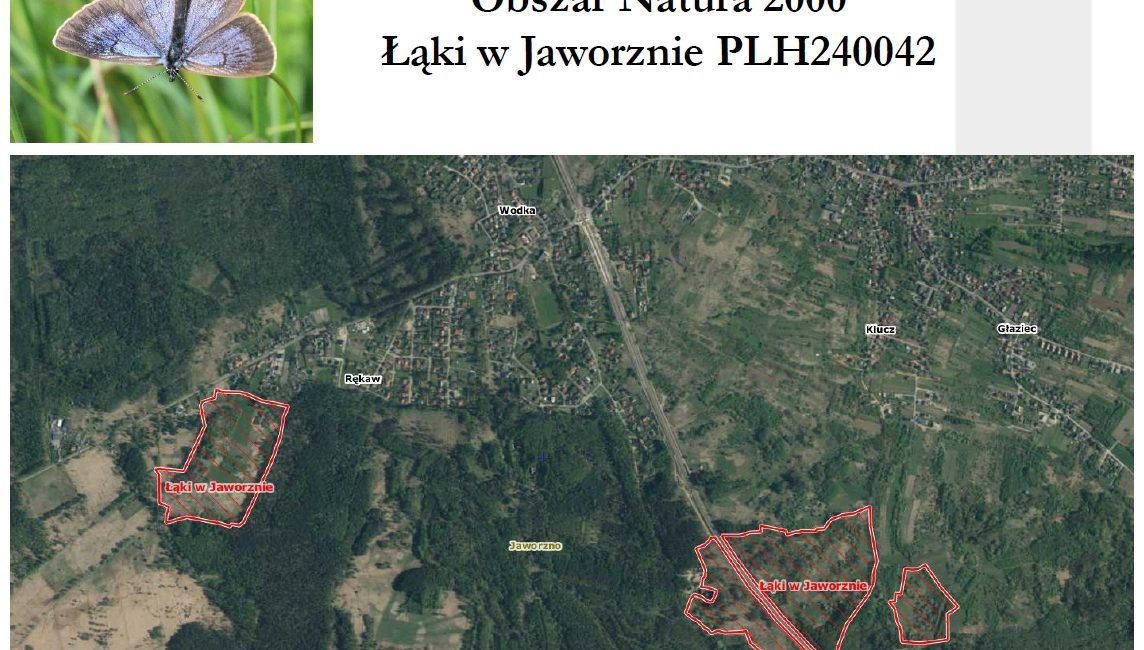 Plansza przedstawiająca mapę z zaznaczeniem na czerwono terenu łąk, w lewym gónym rogu fotografia motyla