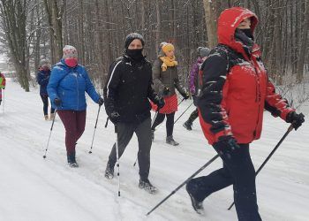 Grupa ludzi w czasie zimowego rajdu nordic walking