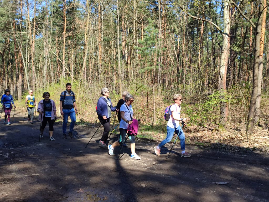 Grupa osób, spaceruje w lesie trasą nordic walking